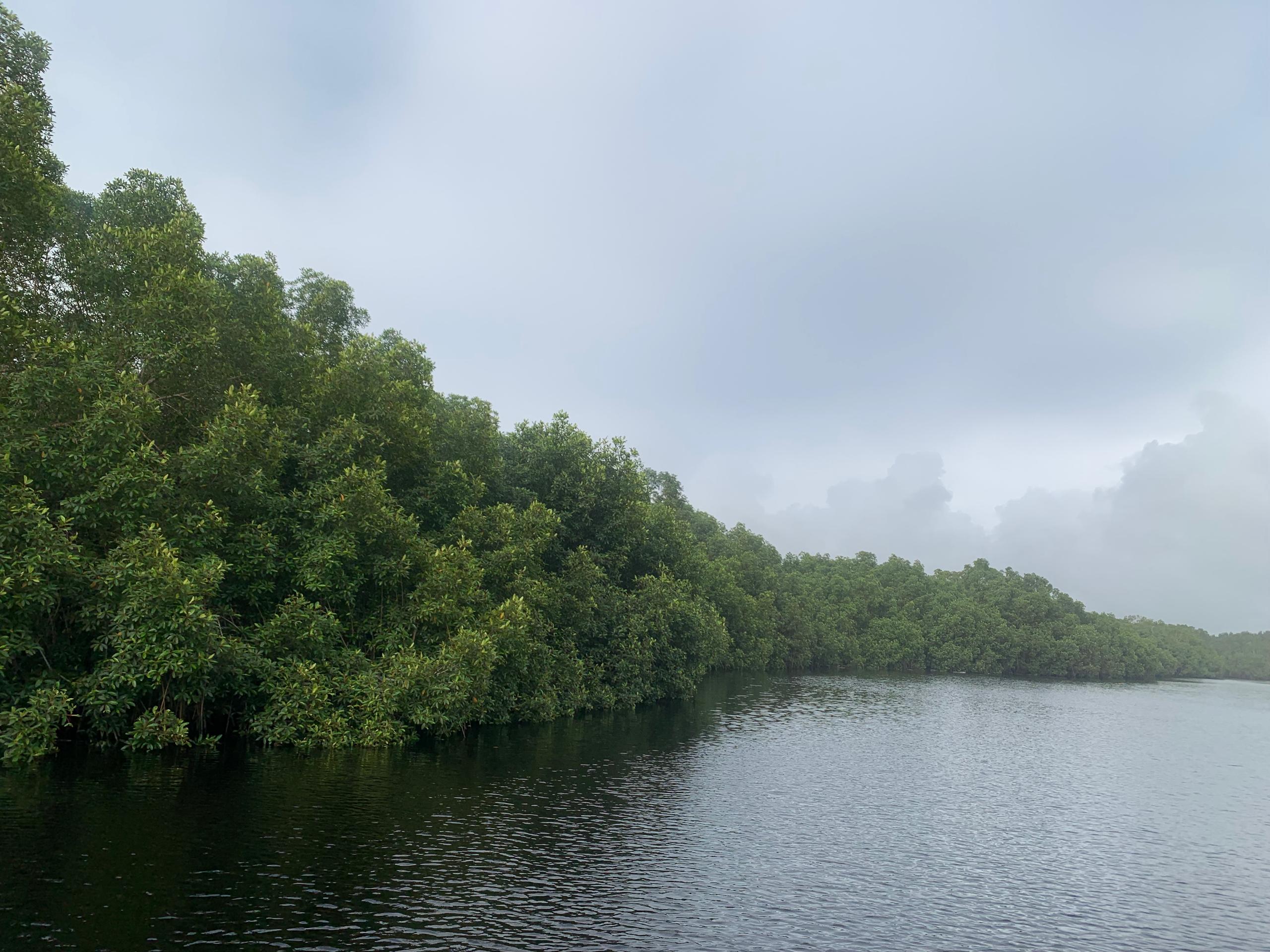 WhatsApp Image 2025-08-19 at 12.27.23_abce061d